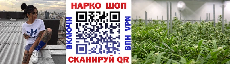 Где продают наркотики Ишим APVP  Псилоцибиновые грибы  ГАШИШ  Cocaine  Меф  АМФЕТАМИН 