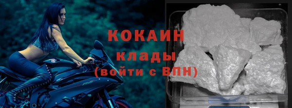стаф Алексин