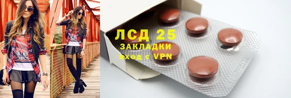 стаф Алексин