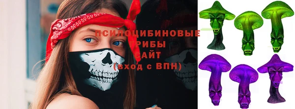 гашик Алзамай
