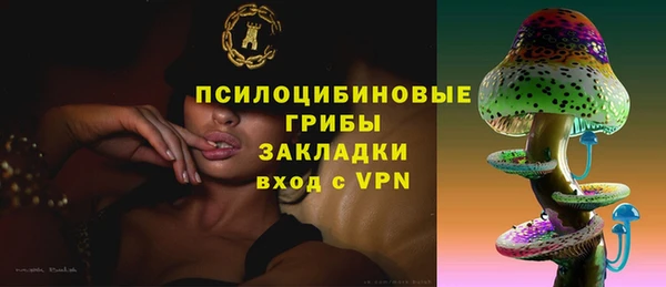 стаф Алексин