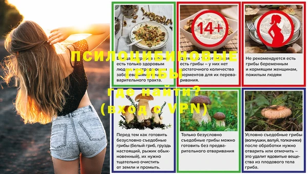 гашик Алзамай