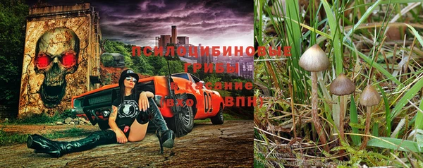 соль ск Алексеевка