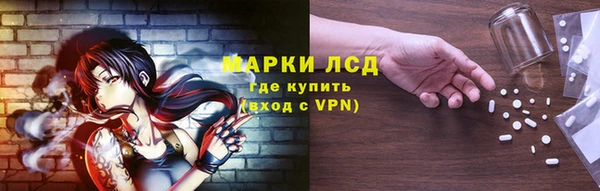 стаф Алексин