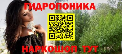ешки Лесосибирск