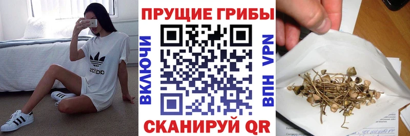 Галлюциногенные грибы Magic Shrooms  Ишим 