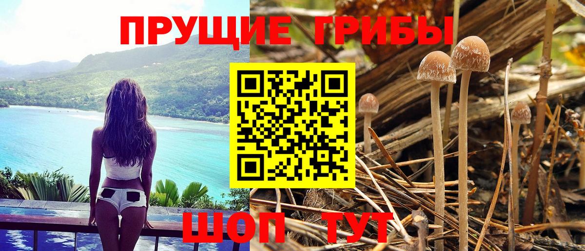 Ишим  ГАШ  МДМА  НБОМе  Вход с VPN  Меф МЯУ МЯУ кристаллы  Марихуана 