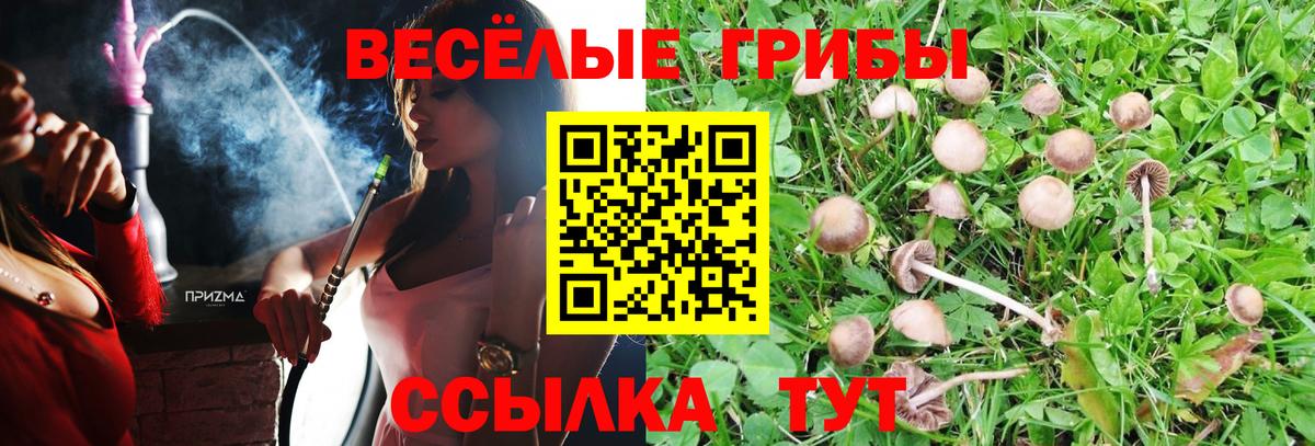 Ишим  Псилоцибиновые грибы ЛСД  Вход с VPN 