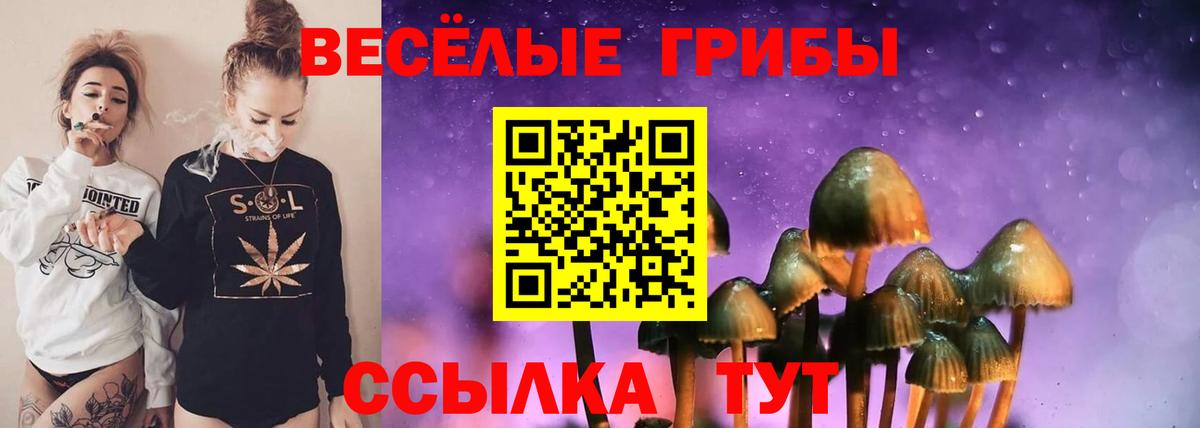 Галлюциногенные грибы ЛСД Ишим